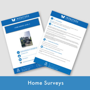 Home Surveys
